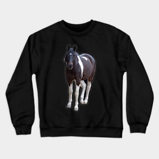 American Paint Horse Crewneck Sweatshirt